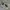 New Balance Streetwear Casual Sneakers Pria gray photo 2
