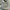 H&M Indie Casual Casual shirt Pria multicolor photo 3