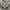 New Balance Streetwear Sneakers Pria brown gray photo 2