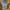 Carhartt Streetwear Casual Parka Pria yellow photo 2