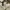 Studio Nicholson Dordoni Peached Cotton Twill Almond Pants photo 5