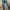 Jeans LEE - Cewek Size 27 ORI photo 9