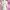 Dries Van Noten Women Puff Slevee photo 3