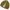 Minimalist Casual Formal shirt Pria khaki yellow photo 3