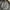 Elizabeth shoulder bag vintage y2k  photo 3
