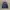 Adidas Indie Minimalist Jersey Pria navy blue photo 1