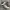 New Balance Streetwear Sneakers Pria navy cream photo 4