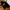 Carhartt Streetwear Casual T-shirt Pria black photo 2