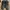Burberry Luxury Casual Sneakers Pria black gray photo 3