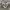 New Balance Streetwear Sneakers Pria navy gray photo 2