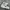 New Balance Streetwear Sneakers Pria cream photo 4