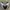New Balance Streetwear Sneakers Pria white black photo 2