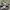 New Balance Streetwear Sneakers Pria white black photo 1