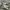 New Balance Streetwear Sneakers Pria white black photo 4