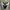 New Balance Streetwear Sneakers Pria white black photo 2