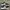 New Balance Streetwear Sneakers Pria white black photo 1