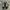 New Balance Streetwear Sneakers Pria white black photo 3