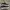 New Balance Streetwear Sneakers Pria white black photo 1