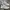 New Balance Streetwear Sneakers Pria cream photo 1
