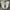 New Balance Streetwear Sneakers Pria cream photo 2