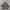 BROKLYN JACKET TRUCKER DENIM