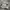 New Balance Streetwear Sneakers Pria gray photo 4