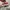 Vans Era photo 3