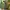 UNIQLO PARKA OUTER JACKET GREEN ARMY MULTI POCKET photo 2
