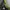 BFL Outdoor Jacket Gorpcore photo 7