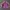 Adidas Tracktop 