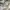 AWESOME APPAREL ANORAK CANVAS JACKET photo 5