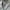Champion Vintage Sportswear Hoody Pria gray photo 2