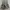1980s Painters & Distressed Camo Cargo Shorts photo 6