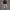 CHINOS PANTS BY VOSTRO photo 2