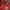 HOODIE ADIDAS  photo 3