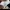 Adidas Indie Casual Sneakers Pria white black photo 8