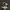Adidas Indie Casual Sneakers Pria white black photo 1