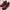 HAWKINS Burgundy Wingtip Brogue Made in Myanmar photo 5