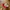 HAT SNAPBACK CINC1NN4TI  R3DS PIN STRIPEE photo 5