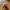HAT SNAPBACK CINC1NN4TI  R3DS PIN STRIPEE photo 2