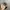 Green Wing Realtree Hats by Duckunlimited photo 8