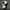 Adidas Indie Casual Sneakers Pria white black photo 6