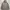 Hoodie Dark Khaki By Spao