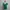 Y2K Coquette Blouse Wanita green photo 2