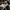 Puma Indie Casual Sneakers Pria white gray photo 8