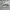 Lacoste Carnaby Set Leather Sneakers 'White Green' photo 2