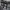 Under Armour Luxury Casual Backpack Wanita gray photo 2