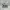 Under Armour Luxury Casual Backpack Wanita gray photo 8