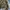 Mad dog realtree jacket photo 5