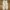 UNIQLO IVORY WIDE FIT PARACHUTE NYLON TROUSERS UTILYTY PANTS